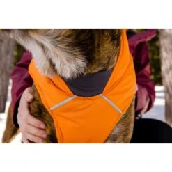 Ruffwear Quinzee™ Hundejacke Orange M -Ruffwear Verkäufe 001bdf29a34dffebf7840b4a759030f83c299732 1370013 de DE 17dd615b14a3a705025267b6458fddf099eb308bn8H5c2