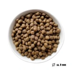 Eat Small EatSmall 10kg Mini Balance Trockenfutter 11 Eat Small EatSmall 10kg Mini Balance Trockenfutter -Ruffwear Verkäufe 022311929b7a668588c438a801ffcb397cc4f6a5 1450724 de DE ef1a1257b12edf1ce0a516e027bab83024c70daeCWb9u6