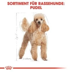 ROYAL CANIN Poodle Adult 7,5 Kg 12 ROYAL CANIN Poodle Adult 7,5 Kg -Ruffwear Verkäufe 032b5ea6cfa49c42570652ccff0f17d6a9c5c3b3 041bf486a1c57468bdf7f77e34e32ac35b6d49d3