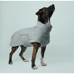THE DOG IDEA Bademantel Every Mint XXS -Ruffwear Verkäufe 032e0f4ed2960fe1ec8d23c29c7dbfc26d3247bf 1472965 de DE f6c72edc1da0f5adb9e6002c5c950ed915d74029iHSeEf