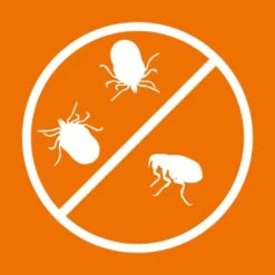 Ardap Spot-On Für Ziervögel & Brieftauben -Ruffwear Verkäufe 038d3481836ba38e3157f406ac786e1726a3d7c0 1227326 de DE 9995c7124591a9c13faf975bcb76e778050c4234EvX9L5