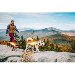 Ruffwear Lumenglow™ High-Vis Hundejacke Orange XL -Ruffwear Verkäufe 055f8ec457e40b7d33e9c275c20ea79bae1e006a 1378153 de DE e8b1f6094bc39d07bc90bd4fe7fc0806cf22bedaBId7iB