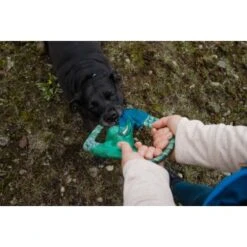 Ruffwear Pacific Ring™ Spielzeug Blau/ Türkis -Ruffwear Verkäufe 07365c8c03348a7be23ff66a31807695c41eac94 1444351 de DE bb2133baab48cb1d262b89fa47f175638eb3f7fcb9JpcH