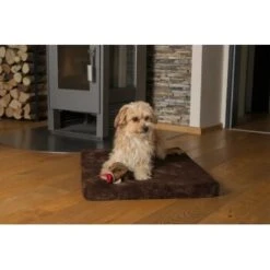 TrendPet VitaMedog Braun Für Comfort Wagon M -Ruffwear Verkäufe 07405e86602560ced1163a302f3d59312e92dc7c 1496697 de DE 71ee9fdb56c876f05b02661e6329cb242daeb80b6BTUU0