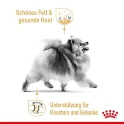 ROYAL CANIN BHN Pomeranian 1,5 Kg 21 ROYAL CANIN BHN Pomeranian 1,5 Kg -Ruffwear Verkäufe 076a82e5533098ce72fdf62baa0bc25ecc22754f 1379878 3