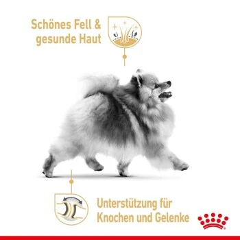 ROYAL CANIN BHN Pomeranian 1,5 Kg 3 ROYAL CANIN BHN Pomeranian 1,5 Kg – Bild 3