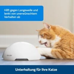 PetSafe Automatisches Katzenspielzeug Fox Den -Ruffwear Verkäufe 08408a2d9006c3b10c605053b082403622980ada 1351524 de DE 8502feb5da21e0ab937dc8c82ecaeac4aebee886lllVcE
