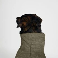 THE DOG IDEA Bademantel Every Khaki XXXS -Ruffwear Verkäufe 08d4ec498c585cdadfada6a4c3297d6f4c28d816 1473018 de DE 537902d50a13ec441ccfea84817fdb2f9ffb8d39pqXbmK