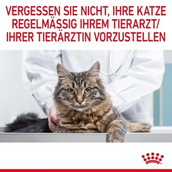 ROYAL CANIN Hair & Skin 12x85g In Soße 11 ROYAL CANIN Hair & Skin 12x85g In Soße – Bild 11