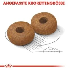 ROYAL CANIN Medium Ageing 10+ 15 Kg -Ruffwear Verkäufe 0a453b86a84d0380c5d152e81e85c4fc2e5494ce c4a51033500711901bbb965ddf12b16b9f8c074f