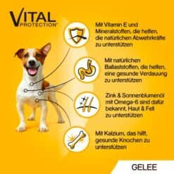 Pedigree Vital Multipack Portionsbeutel In Gelee 40x100g -Ruffwear Verkäufe 0a8a05cf3e2550b662c3b88d4eb3c20880e13f55 1280045 de DE 5900951267833 SI1 1