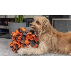 TrendPet Schnüffelball Orange -Ruffwear Verkäufe 0b3adcfec2519e0c6e929e0267a6c980a87babfc 1347789 de DE 4bd3ff6adcaeee7c376418b75c81fae19b8db63bwKh8XT
