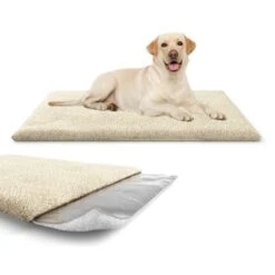 Knuffelwuff Kälteabweisende Und Wärmeisolierende Thermodecke Beige L -Ruffwear Verkäufe 0d048450d3677bbe66ac815d46c1573d77ebc64b 1411793 de DE 26a54309e701e992732d9c1d25392889d55befc3ZZNFAK