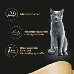 Sheba Delikatesse In Gelee 22x85g Huhn -Ruffwear Verkäufe 0d48f2e0acf38e32e3c1236a212b090b82ffaf01 0cd2b7b738dcd563631f5dd17b5ef2c1564df9e9