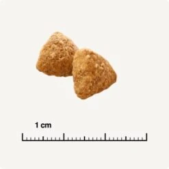 SELECT GOLD Light Adult Geflügel & Reis 2,5 Kg 10 SELECT GOLD Light Adult Geflügel & Reis 2,5 Kg -Ruffwear Verkäufe 0e0cb7fda9cc7a96a9f2c0e4965d8e2bbc043b5c 1243297 de DE 6