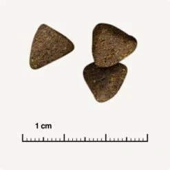 REAL NATURE WILDERNESS Maxi Junior Pure Duck 4 Kg -Ruffwear Verkäufe 0f863931d336be7d5fe5da040b16c04c7d5556fa 1297078 de DE 6