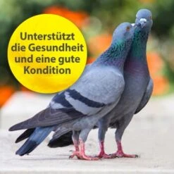 Quiko Multivitamin 375 G 7 Quiko Multivitamin 375 G -Ruffwear Verkäufe 104df2b21f8fd9e32b99e367a9a5b3569dbad191 1387633 de DE f867bf42cdcdb7e6959667b1210fedd6d7d4c069gH7Wsa