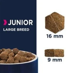 EUKANUBA Junior Large Breed Huhn 15kg -Ruffwear Verkäufe 126f5d1d2500b45dc708772a5a776170c8c3b34a 54dc69962f906f8515f504f258930a70316c2d31