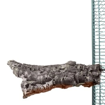 HappyBird Kork Sitzbrett XL 1 HappyBird Kork Sitzbrett XL