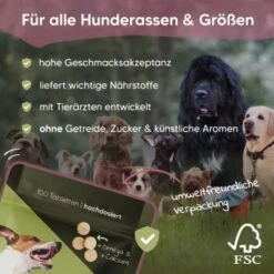 Pawlie's Gelenk Fit Tabletten Hund (100 Stück) -Ruffwear Verkäufe 13c2aa37a08da916b1cd8014d264ba1cb5e12204 1626201 de DE 016987b286bf5101f5ed2a1610825cada7f4cd39esKrs5
