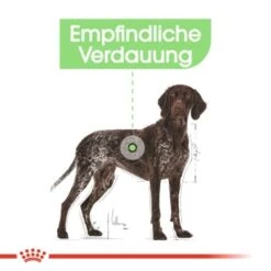 ROYAL CANIN Digestive Care Maxi 12 Kg -Ruffwear Verkäufe 14d24120573486ee92a7e47688cf6a96e822d722 1376252 de DE iajs 5