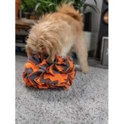 TrendPet Schnüffelball Orange -Ruffwear Verkäufe 150c7485ceb45f446eae94d286af034396b6b839 1347789 de DE 0d959a3cb36067968769c2d102a66fcc1f59a724hVebVb