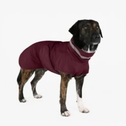 THE DOG IDEA Regenmantel Kayden Bordeaux XXXS -Ruffwear Verkäufe 15199a1306a3ace800e507518b9566b7fa68dccf 1681344 de DE 94a97a0c60e07ef5f6aadab2583dc6e8415511e0pXx3H5