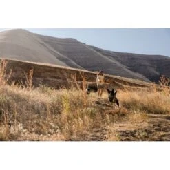 Ruffwear Hover Craft™ Spielzeug Orange -Ruffwear Verkäufe 15670c7f824cb67257971dca32974b68eba14a2f 1364297 de DE f53c4ca5615bcabb9ccbd712339b8f568f29402frPrk2m