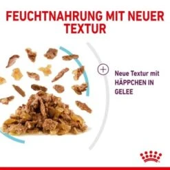 ROYAL CANIN SENSORY Feel In Gelee Für Wählerische Katzen 12x85g -Ruffwear Verkäufe 15b7f43bf7d21e68f6a5f585ba869435e3d81722 19a1526453e48e05c977a1660234eaf969ffc1a7