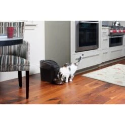 PetSafe Simply Feed Futterautomat -Ruffwear Verkäufe 162adf6a7738d5bf21e1a8f543a00d8bc113bc69 1239482 de DE b44f850e1b411ed2fa4a4391f952beef1a1d7530wtxP0K