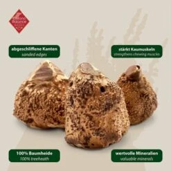 ChronoBalance Kauwurzel Baumheide (XS) 2er Paket -Ruffwear Verkäufe 1692a418716251115199c9d234f54c25eb368478 1418712 de DE 7f5c8529b0ef5815ce0e8f89d9a5ef23e03b1c21G7Omjy