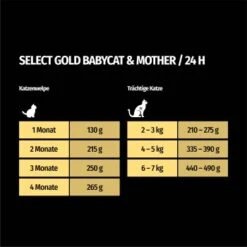 SELECT GOLD Babycat & Mother Pastete Huhn 12x85 G -Ruffwear Verkäufe 16f6e0f0a8dec64092bb76bac74e7a426373a332 1367186 de DE 7