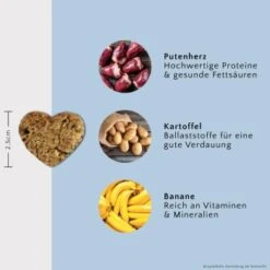 FAVLY Petfood Nature Cookies Pute 360 G 9 FAVLY Petfood Nature Cookies Pute 360 G -Ruffwear Verkäufe 17125072aea52cbc41fbe81e7d3c02a43cf372ed 1474002 de DE ddf42b91b98ad974a4fe3244cb13576cddc887c9Btb316