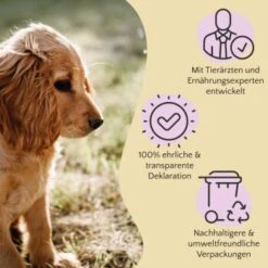 FAVLY Petfood Premium Naturkauartikel Kaninchenohren Mit Fell 360 G -Ruffwear Verkäufe 1723031773900f8974b6582f7b858aabe5129f6d 1473998 de DE 803a18d1981b28cac6cbf941640c9f1c7007ec8b2gtdU1