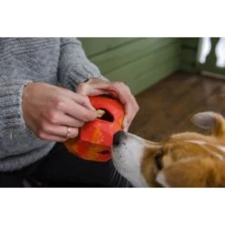 Ruffwear Gnawt-a-Rock™ Spielzeug Blau -Ruffwear Verkäufe 18a32f6fd206d1a1fd4df8bb6663cd33f769d9d5 1639879 de DE b243dd683d9144eaac7a8d1e460c634ef96ee8c8AtipD6