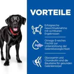 Hill's Science Plan Perfect Weight + Active Mobility Adult Large Breed Mit Huhn 12kg 12 Kg -Ruffwear Verkäufe 19a37cc445eb472e80fac50cb4b97632efd58bb4 52742052410 4