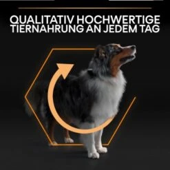 PRO PLAN Optibalance Medium Adult 3 Kg -Ruffwear Verkäufe 19d1016d3469138f7c27a73bd29226a6dea5ac45 1206414 5