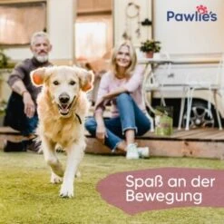 Pawlie's Gelenk Fit Tabletten Hund (100 Stück) -Ruffwear Verkäufe 1c6a6429b71eab5415d0214c381f07051a1fc258 1626201 de DE fc246e46dc05978124c2e49ef6a7667224e432edKNFNet