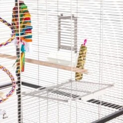 Montana Cages Voliere Paradiso 120 Hellgrau/ Dunkelgrau -Ruffwear Verkäufe 1c842f90892054aed2e7d5c892280c11e89fe74b 1200893 de DE 93edbe7d4f0e092dd8649cc255466a331806c29emAqrjU