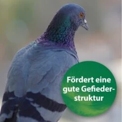 Quiko Spirulina 250 G -Ruffwear Verkäufe 1d197f2e004bf765dcdb99f3cb777c57285c03ed 1387640 de DE 185e18e93f54cb0130b70ffb741d9e21c1c0250eZ39B4c