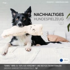 Freudentier Nachhaltiges Hundespielzeug Daniel 11 Freudentier Nachhaltiges Hundespielzeug Daniel -Ruffwear Verkäufe 1d76f528eae39671e4d1834457219c343008a2d3 1408970 de DE eaef6ecd52d3d4c991411f4325e77d342eb1ce7eIH205L