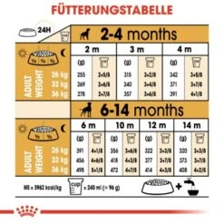 ROYAL CANIN Boxer Puppy 12 Kg -Ruffwear Verkäufe 1d7f5e3d2a00d175774adf8c01d791ebe8277dfc 6dff00cd99ccb72aecf4367e12827d5743855c22