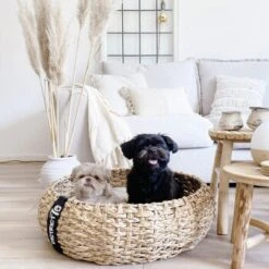 District 70 COCOON Natural M -Ruffwear Verkäufe 1db584284c497361442002ba80ca8dd9597a35b9 1ad367312153dfaf420d5600b6e8e9dac5cec798