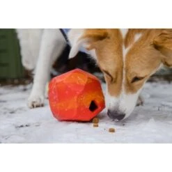 Ruffwear Gnawt-a-Rock™ Spielzeug Blau -Ruffwear Verkäufe 1df4ce0c3e2b13b9dde849014a9b4637ff5fbf94 1639879 de DE 625c8d7bd239fd4e64b055b3b2574c1b5400a391xF45nb