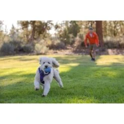 Ruffwear Huckama™ Spielzeug Violett -Ruffwear Verkäufe 1e25287ed59c30d76e9b799ca71232e607c6932b 1639706 de DE 4cde75bd4ef04e9f936b40473471e71f69a39443R9gkOp