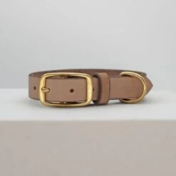 THE DOG IDEA Leder Halsband Beige XL 5 THE DOG IDEA Leder Halsband Beige XL -Ruffwear Verkäufe 1ec48d2972c0e1dfe6ea7297404e371c480b6f93 1674216 de DE e62f018514b26e403cf6836ac6a855f79abfd60fyH1vTH