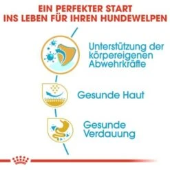 ROYAL CANIN Mops Puppy 1,5 Kg -Ruffwear Verkäufe 1ec77d9b282b51a888ba23b88ab9ba8f49e59043 25b2c4affd986b4b4bf8d6cd25ae70e71ca39150