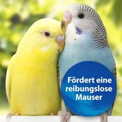 Quiko Biotin M 150 G: Unterstützt Die Mauser Von Ziervögeln -Ruffwear Verkäufe 1edb379122303e5bd6851c962595f5914d97ad79 1386532 de DE d423967889f663d8a9511c722121183787861b26YUo6R2