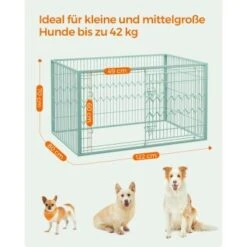 FEANDREA Welpenauslauf 4-teilig Schwarz Mintgrün -Ruffwear Verkäufe 224c77aaf5680958d3354ea8db1a602877470bbf 1500915 de DE 037d3f346d915f36c8974a9cb17670b83a182474Anl1ai