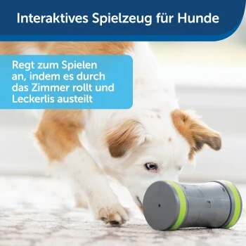 PetSafe Selbstbewegendes Belohnungsspielzeug Kibble Chase 4 PetSafe Selbstbewegendes Belohnungsspielzeug Kibble Chase – Bild 4